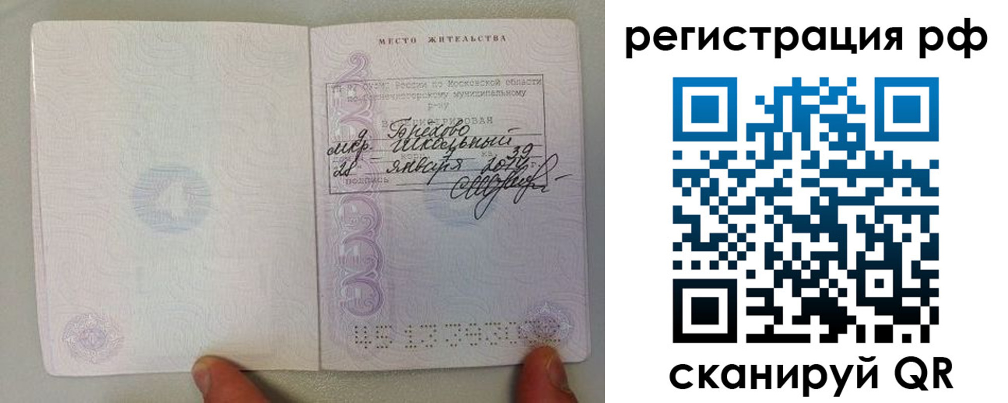 прописка регистрация в Смоленской области